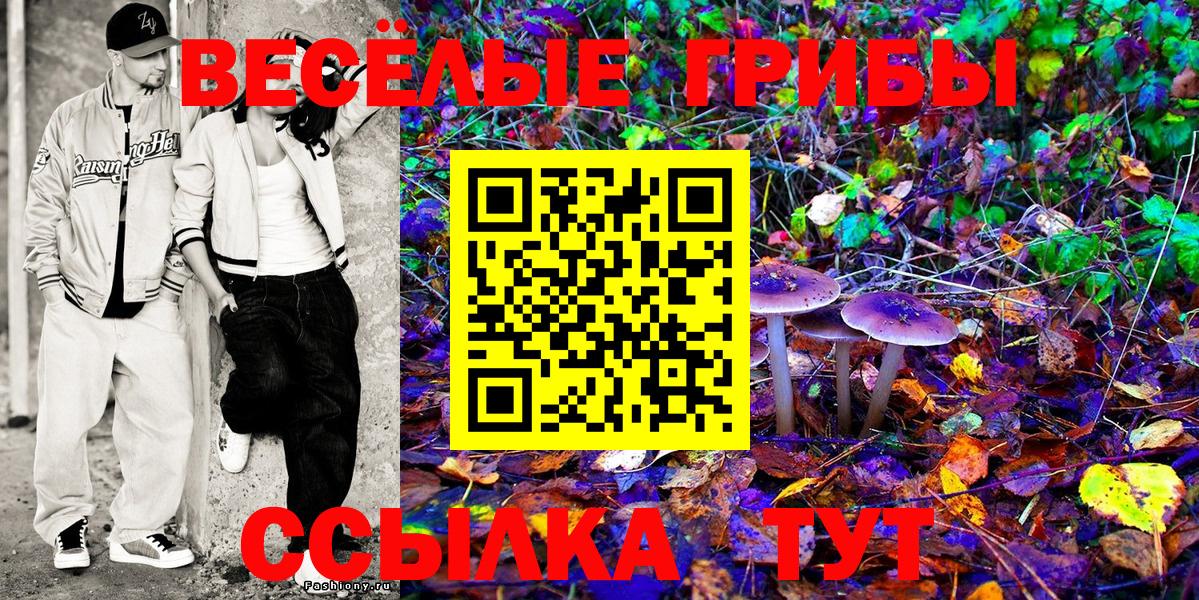 Богородск  Псилоцибиновые грибы Magic Shrooms  Вход с VPN 